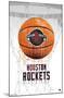 NBA Houston Rockets - Drip Basketball 21-Trends International-Mounted Poster