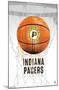 NBA Indiana Pacers - Drip Basketball 21-Trends International-Mounted Poster