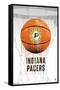 NBA Indiana Pacers - Drip Basketball 21-Trends International-Framed Stretched Canvas