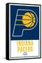 NBA Indiana Pacers - Logo 21-Trends International-Framed Stretched Canvas