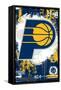 NBA Indiana Pacers - Maximalist Logo 23-Trends International-Framed Stretched Canvas