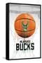 NBA Milwaukee Bucks - Drip Ball 20-Trends International-Framed Stretched Canvas