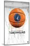 NBA Minnesota Timberwolves - Drip Basketball 21-Trends International-Mounted Poster