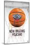 NBA New Orleans Pelicans - Drip Basketball 21-Trends International-Mounted Poster