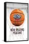 NBA New Orleans Pelicans - Drip Basketball 21-Trends International-Framed Stretched Canvas