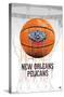 NBA New Orleans Pelicans - Drip Basketball 21-Trends International-Stretched Canvas