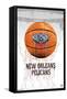 NBA New Orleans Pelicans - Drip Basketball 21-Trends International-Framed Stretched Canvas