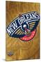 NBA New Orleans Pelicans - Logo 13-Trends International-Mounted Poster