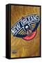 NBA New Orleans Pelicans - Logo 13-Trends International-Framed Stretched Canvas