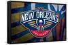 NBA New Orleans Pelicans - Logo 20-Trends International-Framed Stretched Canvas