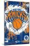 NBA New York Knicks - Maximalist Logo 23-Trends International-Mounted Poster