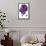 NBA Sacramento Kings - De'Aaron Fox 17-Trends International-Framed Poster displayed on a wall