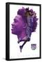 NBA Sacramento Kings - De'Aaron Fox 17-Trends International-Framed Poster