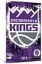 NBA Sacramento Kings - Maximalist Logo 23-Trends International-Mounted Poster