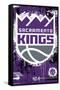 NBA Sacramento Kings - Maximalist Logo 23-Trends International-Framed Stretched Canvas