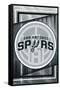 NBA San Antonio Spurs - Logo 17-Trends International-Framed Stretched Canvas