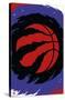 NBA Toronto Raptors - Logo 20-Trends International-Stretched Canvas