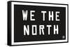 NBA Toronto Raptors - We The North 16-Trends International-Framed Stretched Canvas