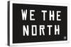 NBA Toronto Raptors - We The North 16-Trends International-Stretched Canvas
