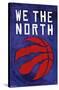 NBA Toronto Raptors - We the North 20-Trends International-Stretched Canvas