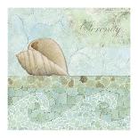 Spa Shells I-NBL Studio-Art Print