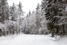 Winter Forest and A Snow Road-nblx-Framed Photographic Print