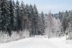 Winter Forest and A Snow Road-nblx-Photographic Print