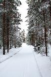 Winter Forest and A Snow Road-nblx-Stretched Canvas