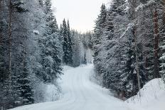 Winter Forest and A Snow Road-nblx-Photographic Print