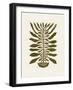 Ne Hundred-Leaved Plant #22 / Lino Print-Alisa Galitsyna-Framed Giclee Print