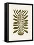 Ne Hundred-Leaved Plant #22 / Lino Print-Alisa Galitsyna-Framed Stretched Canvas