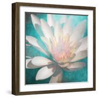 nénuphar-Viviane Fedieu Danielle-Framed Photographic Print