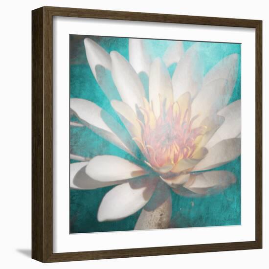 nénuphar-Viviane Fedieu Danielle-Framed Photographic Print