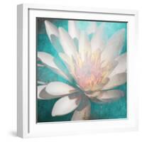 nénuphar-Viviane Fedieu Danielle-Framed Photographic Print