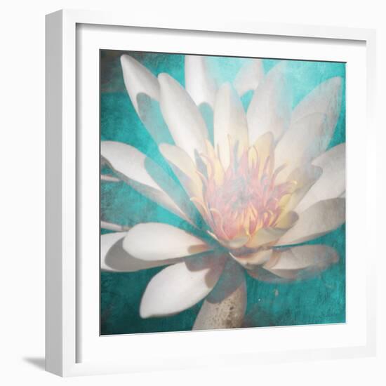 nénuphar-Viviane Fedieu Danielle-Framed Photographic Print