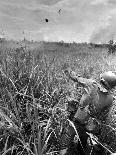 Vietnam War South Vietnamese-Neal Ulevich-Premium Photographic Print