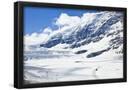 Essential Black