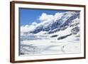 Chelsea Espresso