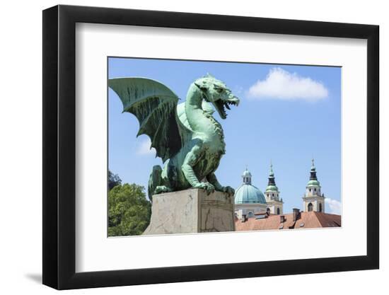 Premium Photographic Print, , large
