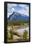 Essential Black
