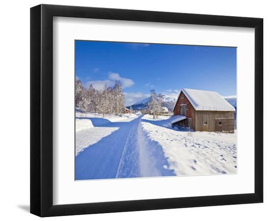 Premium Photographic Print, , large