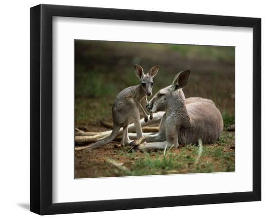 Premium Photographic Print, , large