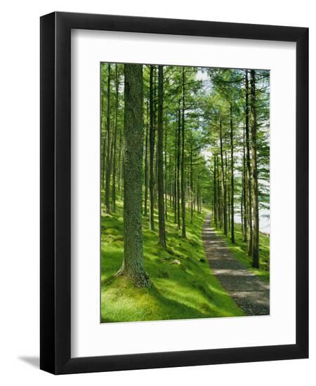 Premium Photographic Print, , large