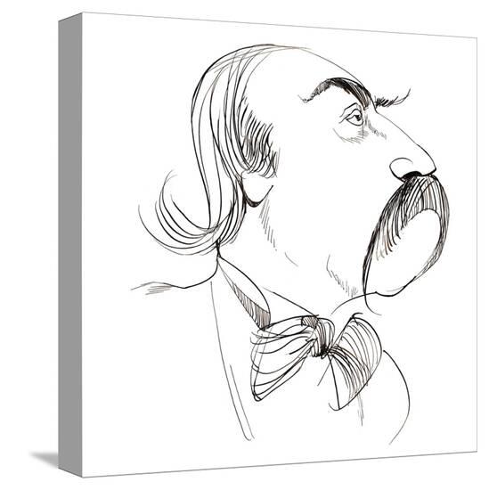 Stretched Canvas Print, , large