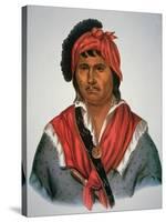 Neamathla Chief, 1826-Charles Bird King-Stretched Canvas