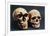 Neanderthal And Cro-Magnon 1 Skulls-John Reader-Framed Photographic Print