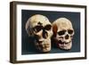 Neanderthal And Cro-Magnon 1 Skulls-John Reader-Framed Photographic Print