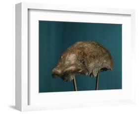 Neanderthal Man Skull-null-Framed Giclee Print