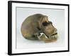 Neanderthal Man Skull-null-Framed Giclee Print