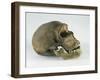 Neanderthal Man Skull-null-Framed Giclee Print